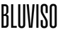 Bluviso – Início